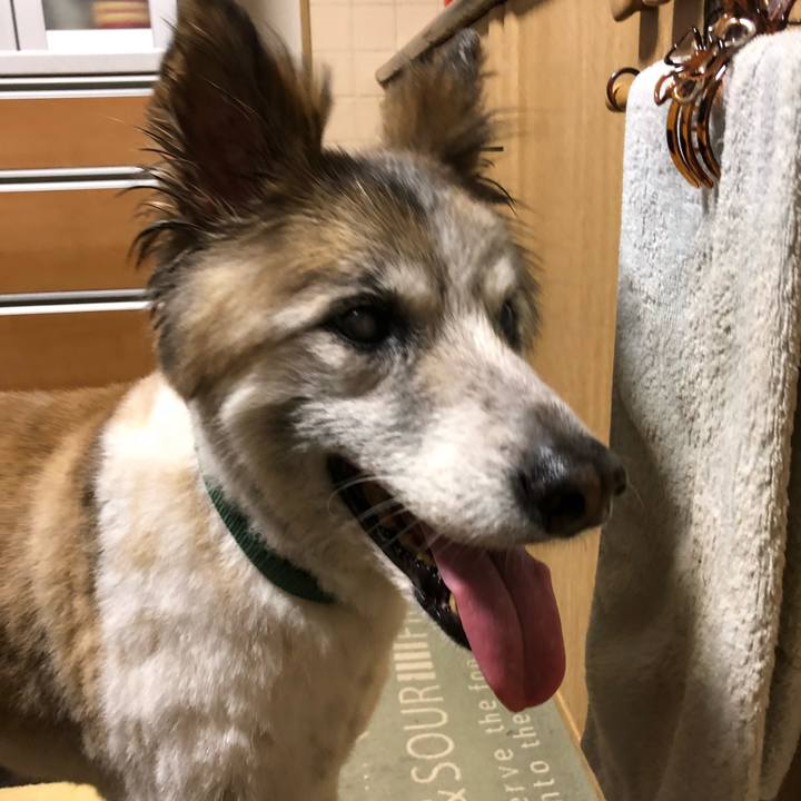 8f29369c fda4 4adb 89ee f43a12dd8eaa 1532944664232