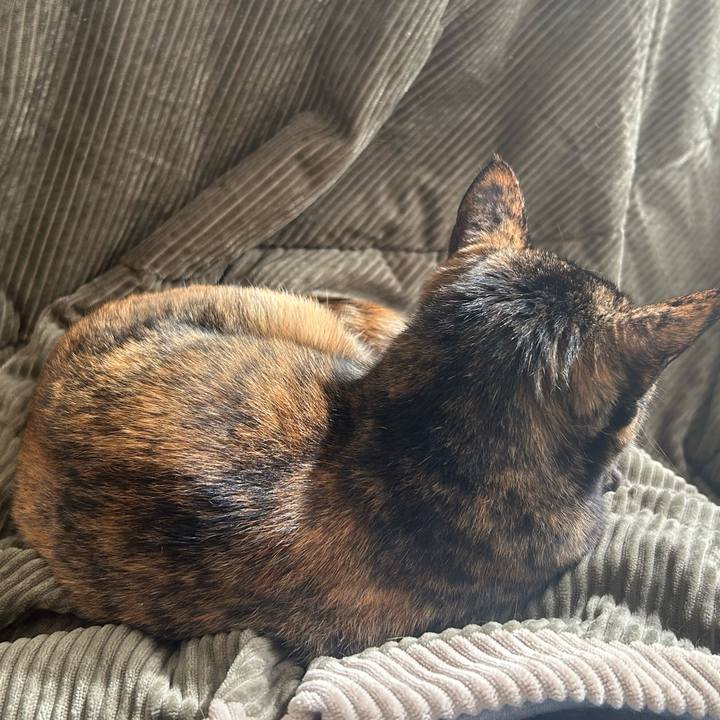 8f296a88 f64e 41cd 9d2b 30a93bb8a56e 1762399827108