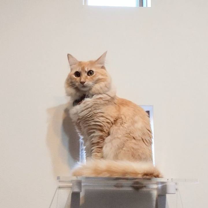 8f29940c be15 45f8 8b52 b6d8a2fde1f6 1636874761567