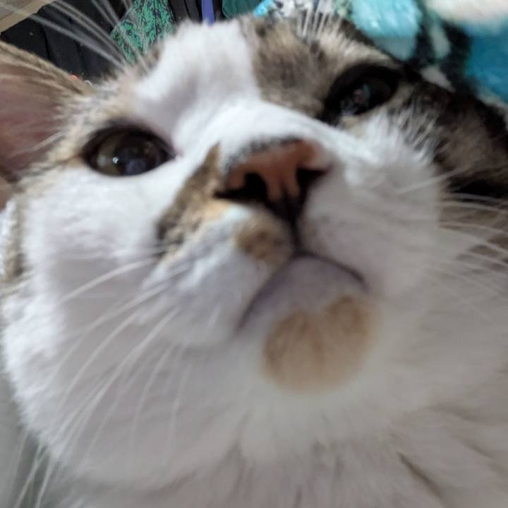 8f299dc0 729a 43e3 9b5c 70a54f022a44 1760530542085