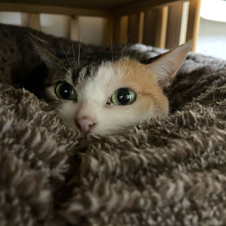 8f2a3797 bd63 431c b96c b01b510e0633 1731322738978