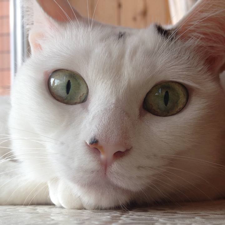 8f2a5502 564f 4e5b a6ec 50078310ce17 1590238205088