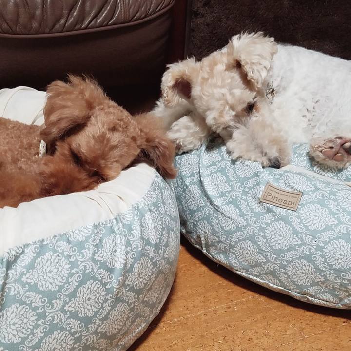 8f2a8fc5 a59f 4dda aaca 8e0000ae5414 1593007591438