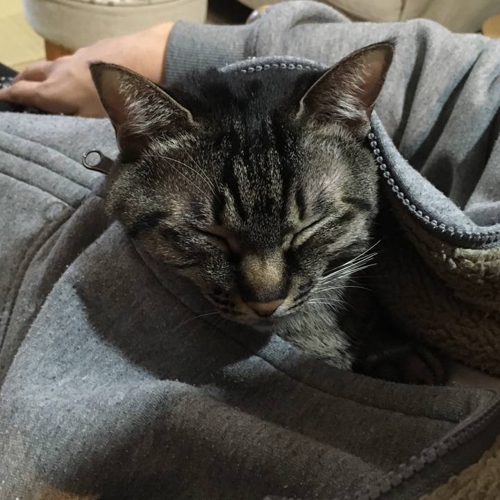 8f2a9788 ab8f 4b30 b8ed 6990d7ce136f 1580730343686