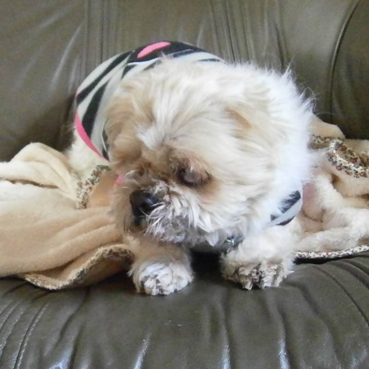 8f2acd4d b032 4bd1 8dc8 6069cfff9516 1610506043622