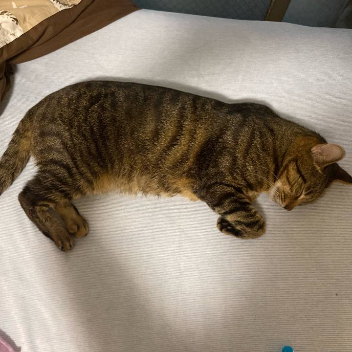 8f2b17d6 33da 402e a60d f9f6b834c410 1714992813078