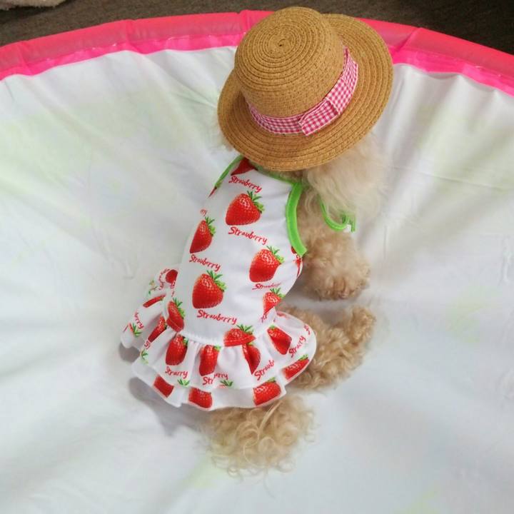 8f2c2762 0f71 45d5 b864 248a76990041 1533181826427