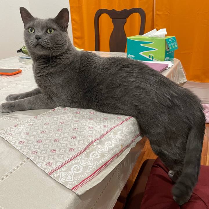 8f2c7812 314c 455f 92f2 ab2b4c3c23cb 1697761892286