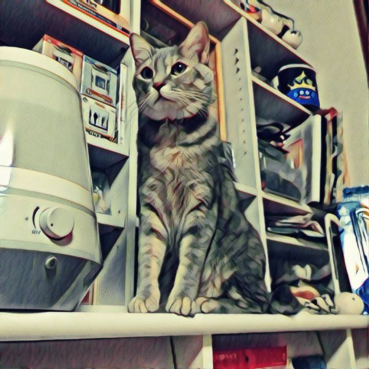 8f2cb602 edcb 43e6 ba2a 14555a9b8b61 1518006777447