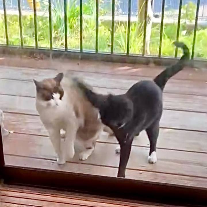 8f2cc75c 6db8 46aa a7ba 7b40f6a2fc03 1746005936866