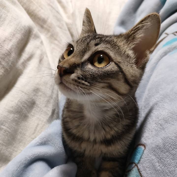 8f2cee2d 1ed1 47d7 9333 c7ce90250c07 1704522369289