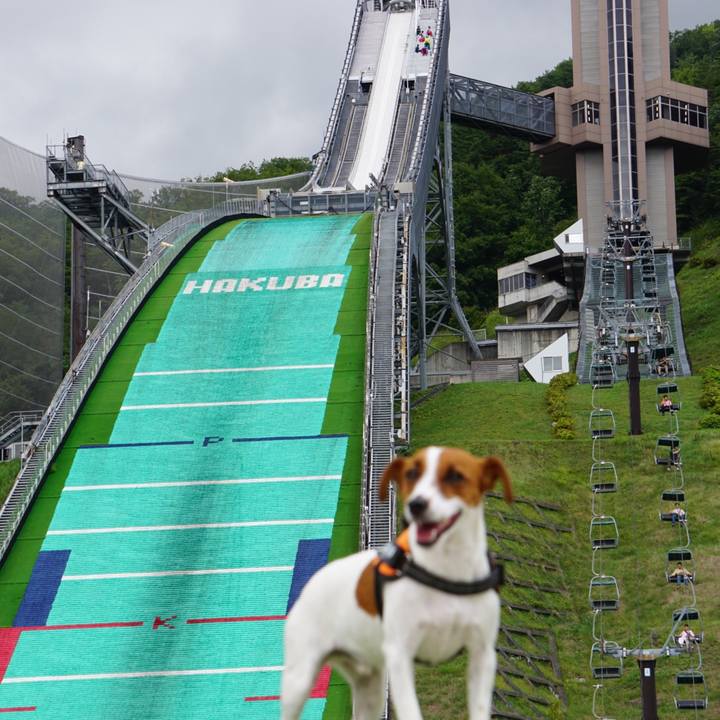 8f2cf45d 7c72 4311 b273 d34d648a6a14 1537185265186