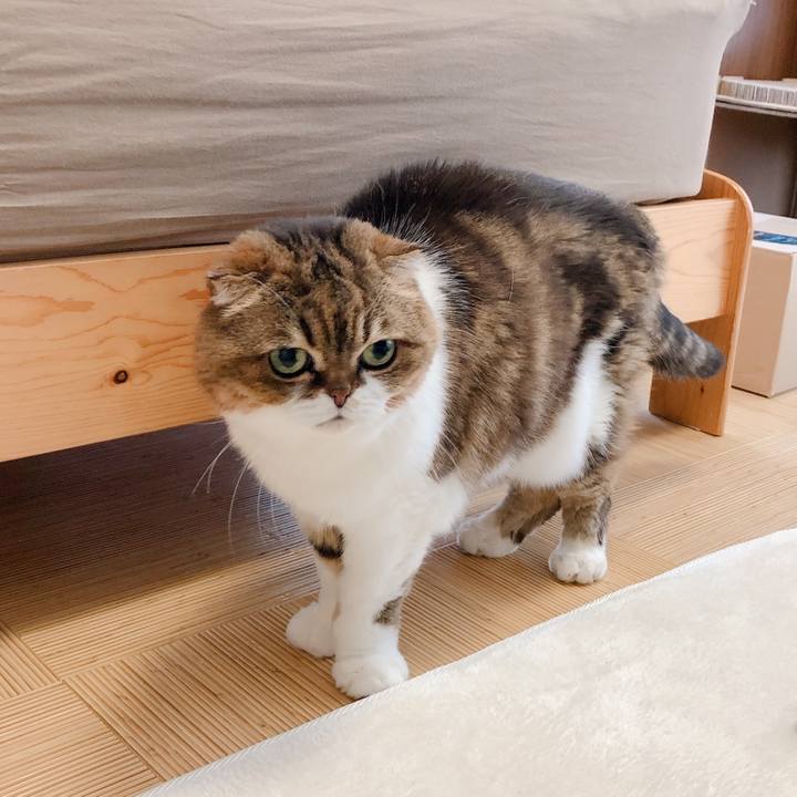 8f2d0705 e60f 4f31 a991 e9aeeb14d718 1605692768540