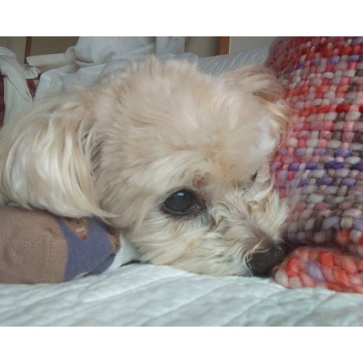 8f2d457a b2cf 4aac 8e79 5bbc97dd0c81 1629204506086