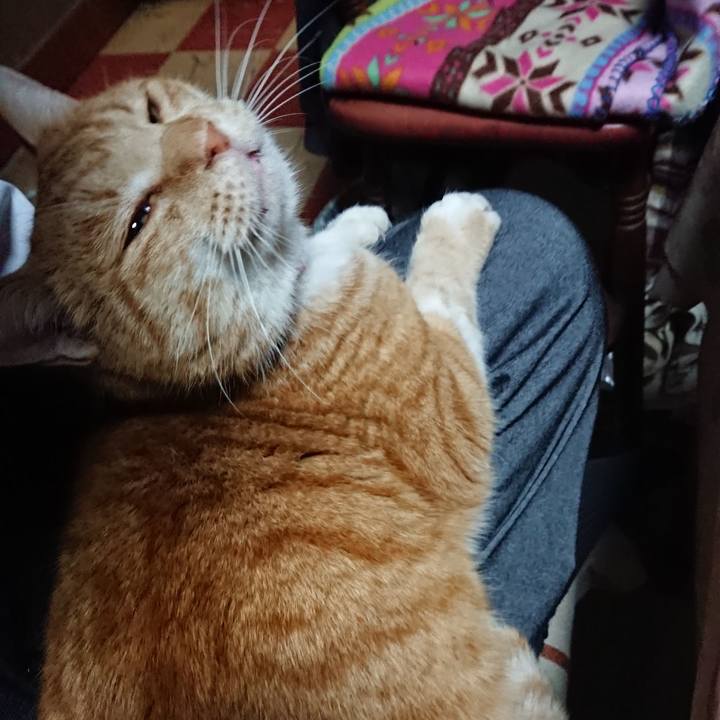 8f2d5418 5c4f 49b5 b4c7 4bf36dcfa5cf 1577438036995