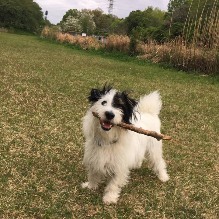 8f2d8220 7aef 4cb6 8bba 5e59856f9140 1524523856533