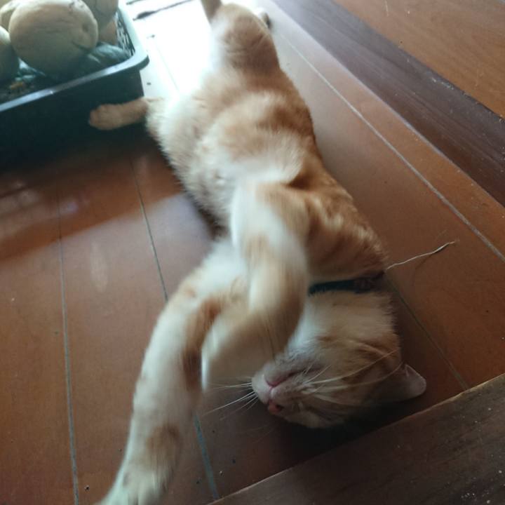 8f2d8e7d afd8 4833 a7b3 42cdb0de5ce8 1565414569106