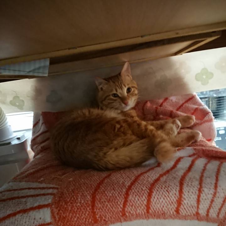 8f2dc691 8443 40e3 b017 07f49ed894c0 1643850629000