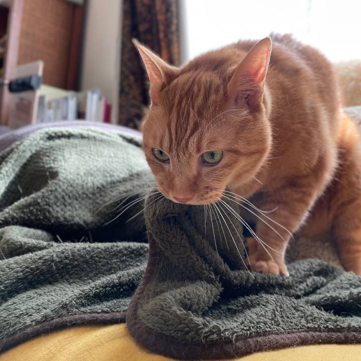 8f2ddb4b ad27 4632 82e1 be0e71b99846 1730684413815