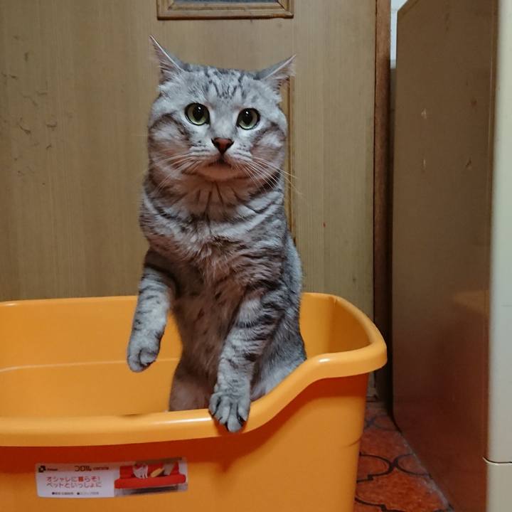 8f2de799 3e4b 49b4 8438 a474c2a2fbf7 1547734463723