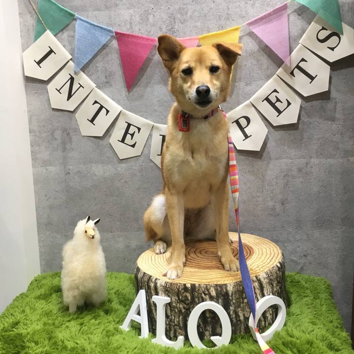 8f2e023b c41f 4a5d b1df 2310653baa6d 1553960350113