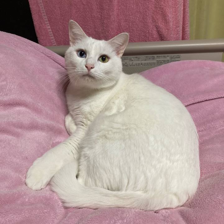 8f2e1fa8 c606 4fc0 827a 599ea5da3e21 1763505771085