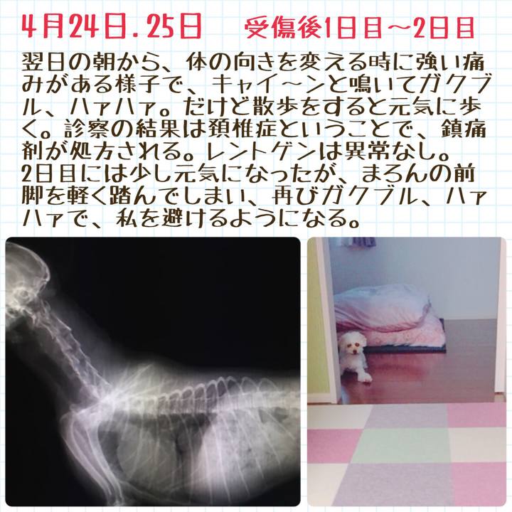 8f2e6f98 35de 44ab 81fb f1687fe2eb51 1526343693964