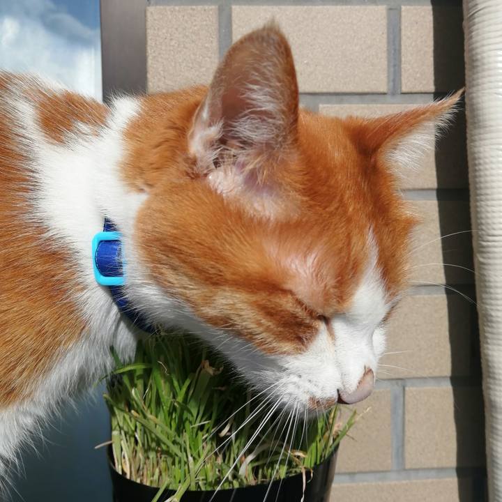 8f2e873c 6569 4f62 87a3 7d858c24af03 1638066697573