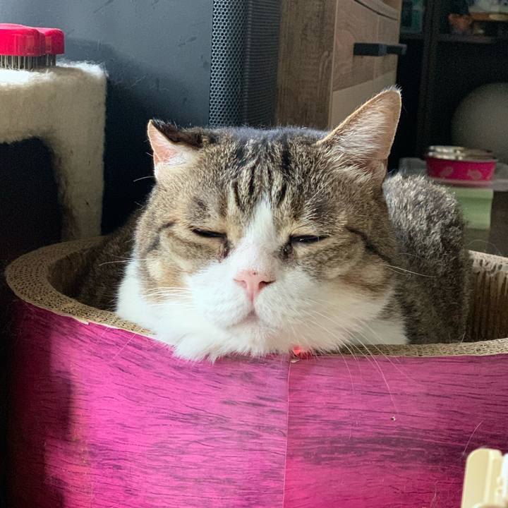 8f2ea19b 954c 4b19 a063 cb67d700dbaf 1728605797887