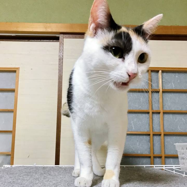 8f2ebfb1 edbc 4ac0 a3ee 5cf6570afd1f 1507968879165