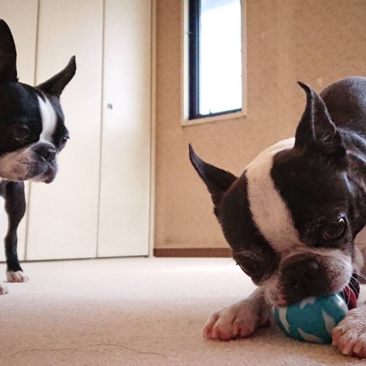 8f2ee7bc 06bc 45ac 9639 d960aa6ba1c3 1520826649833