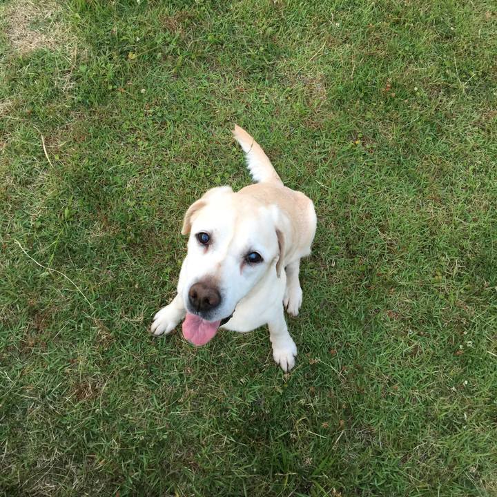 8f2f5d16 6057 4490 a9ab 6b9dbf82393e 1551268800121