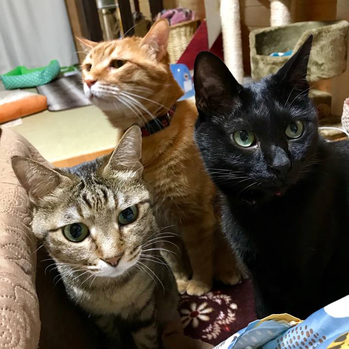 8f2faba6 c726 4872 9994 a77e076831f7 1555066804816