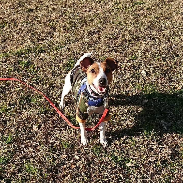 8f2faedd f82e 4466 852a b5b4e1adcf68 1546684130766