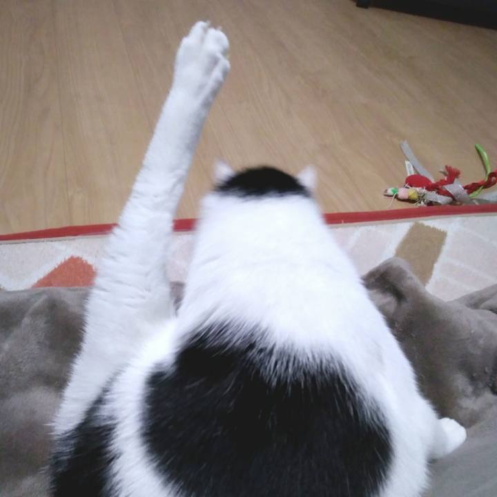 8f2fc6d7 0878 4c9f a99f 00a5c5c766fe 1544698979257