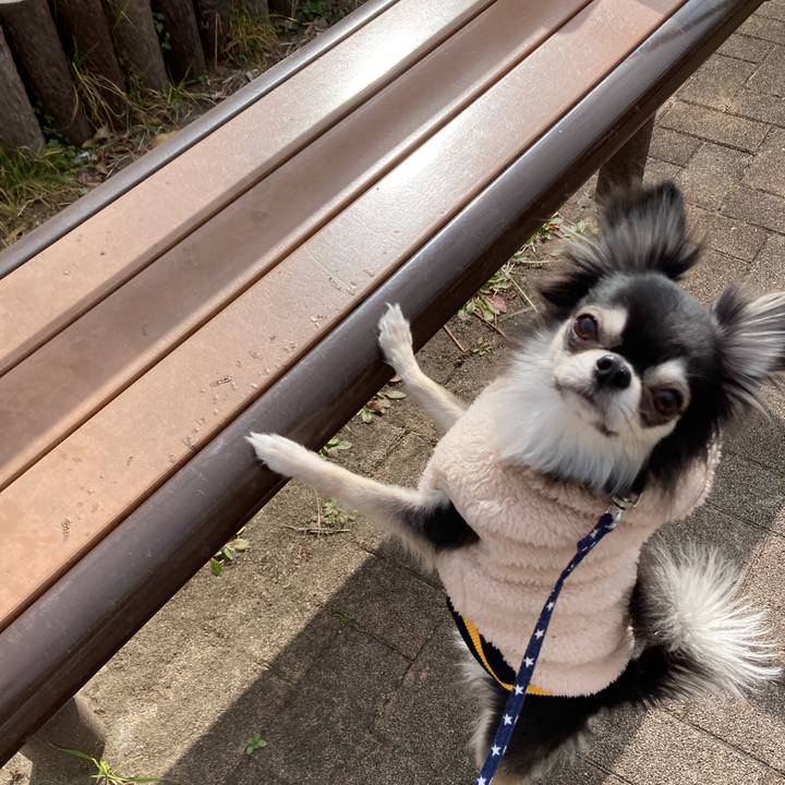 8f2fd518 332f 494b afcf 406c7daf5954 1643521786730