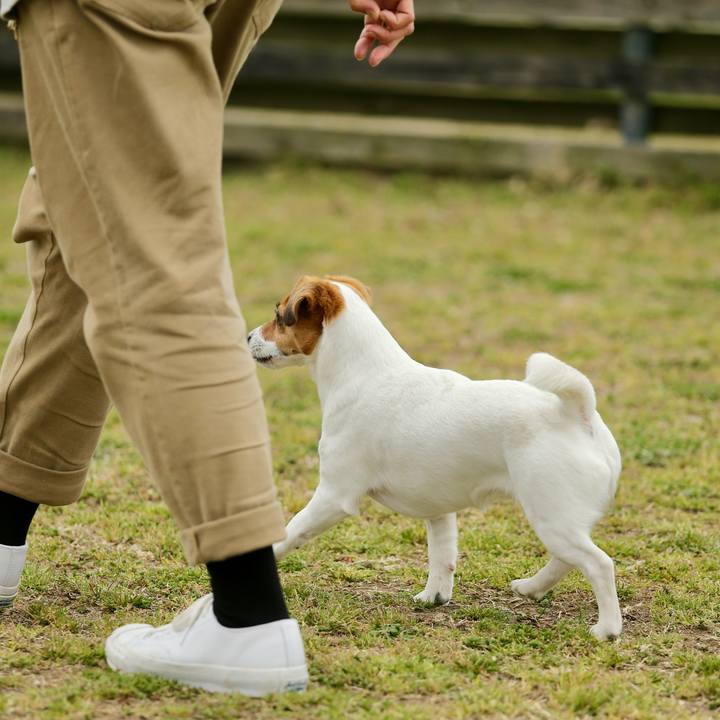 8f2fd7d5 bf23 4943 aaa9 2ab41a3b7d2c 1741099968263