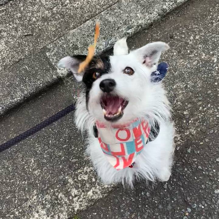 8f2fe976 baf4 4817 b4bc fe0fb91b6f5b 1687997701679