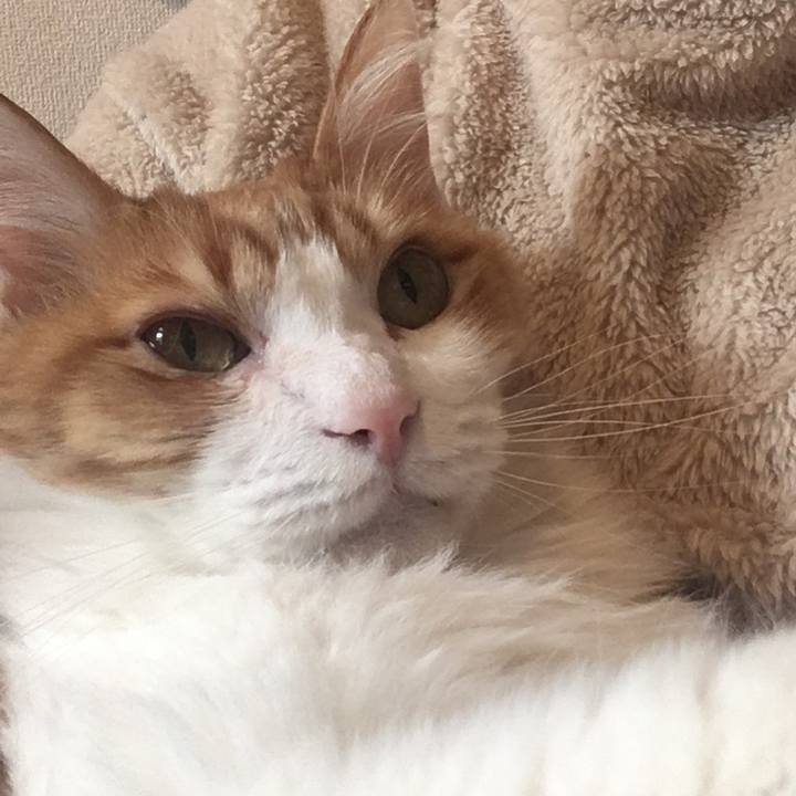 8f2ffc1a f5ca 4e15 87e1 0893e88e9925 1579492364459