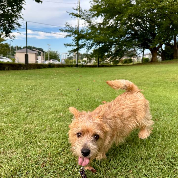 8f3017dd 6e8d 42ba a516 18547b2656de 1723274844167