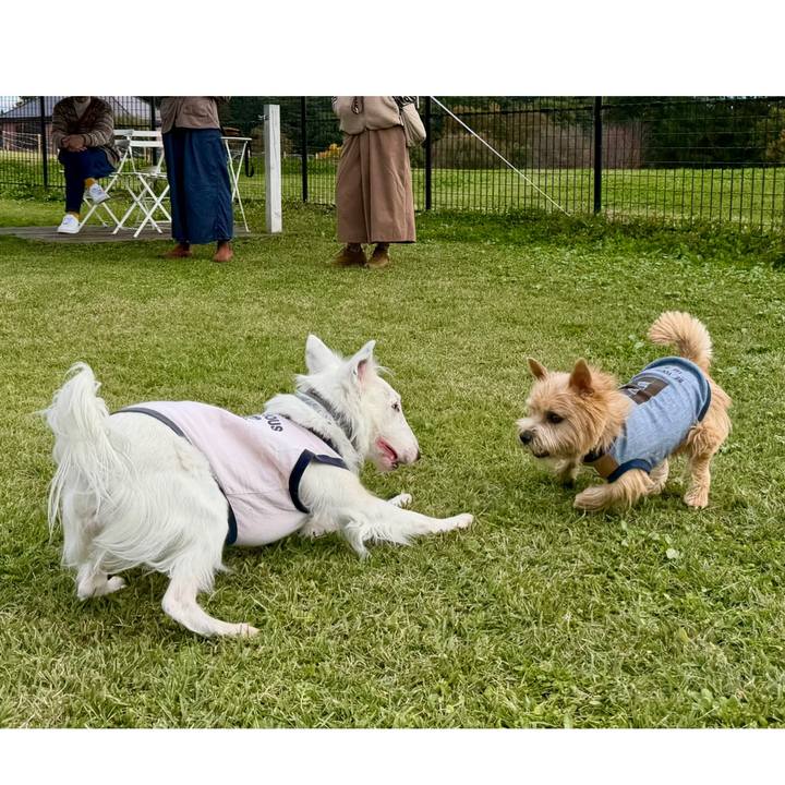 8f3019e3 e167 4fcd 805e 1e3b8e362b5b 1761401781063