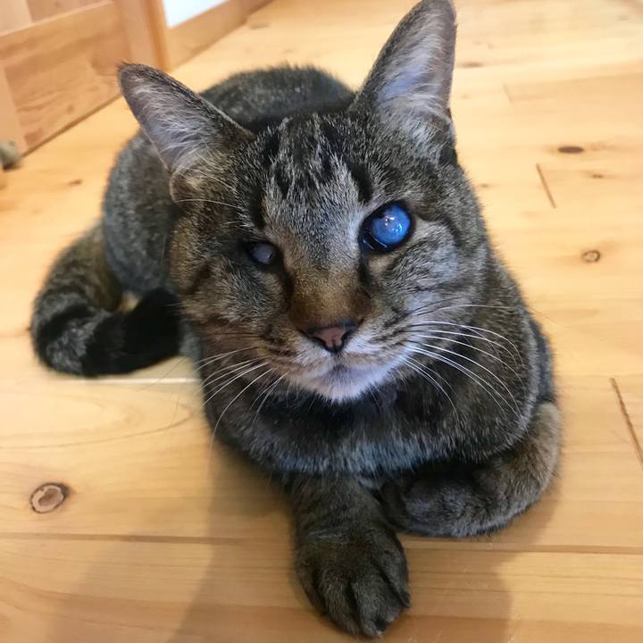 8f30260f 0a49 476c 8b0b 111c2d1e0373 1557447893875