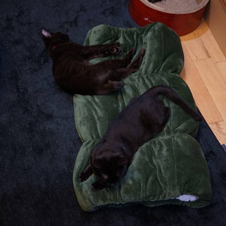 8f302d06 8c8c 4003 8726 79097add70ed 1510616724226