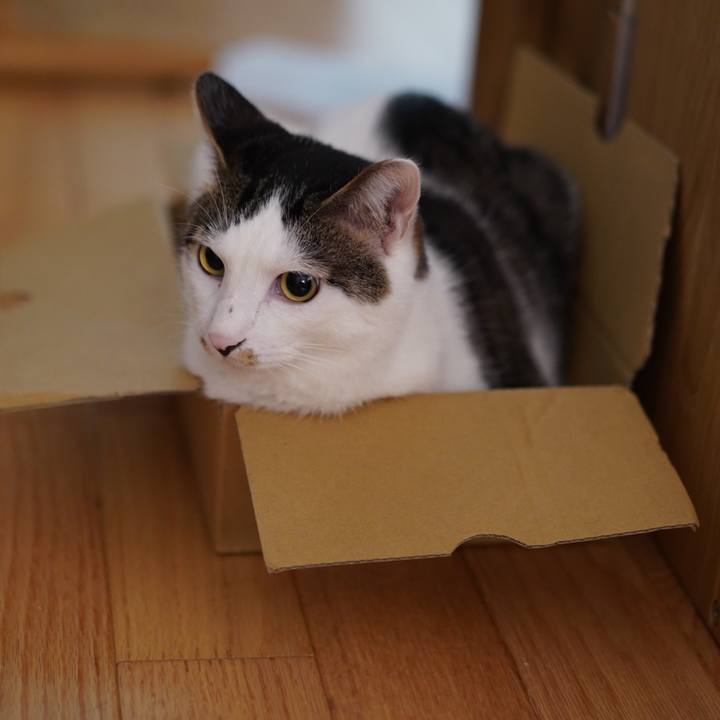 8f305e74 d9ae 4534 bb2f 4314edfeccf7 1567916483189