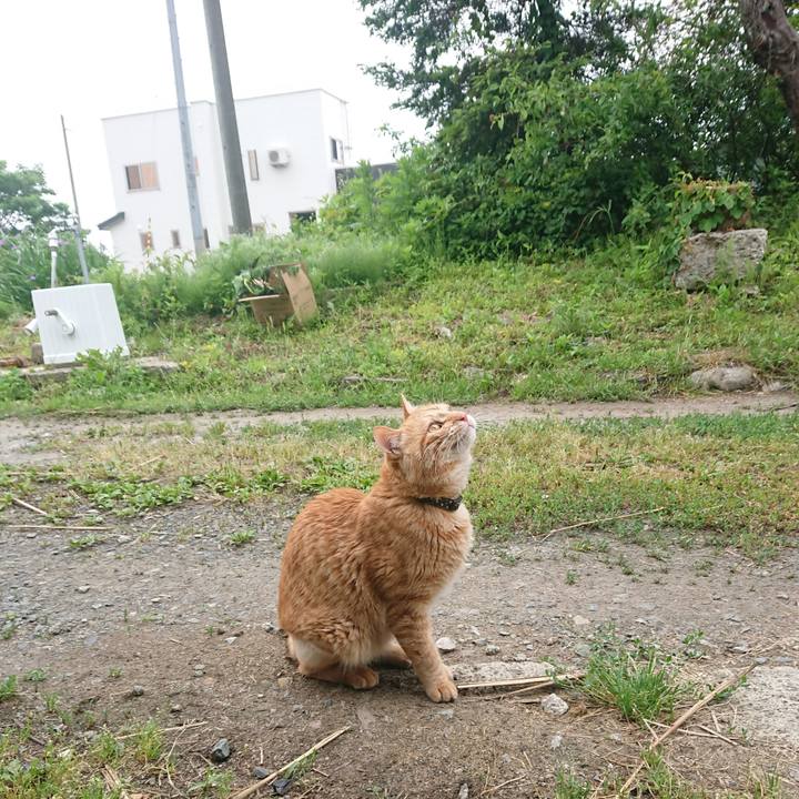 8f308aca 9eb7 4dd3 9b7a 8de282a8a00c 1654900372851