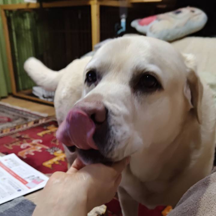 8f309735 d1d4 401c aed7 19daf70ecac6 1771585981430