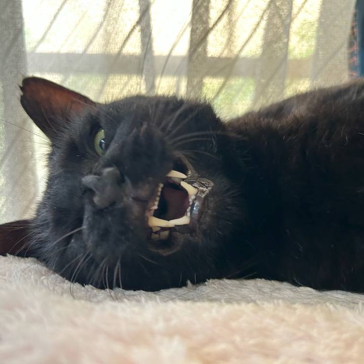 8f30af5d e625 4b40 aa95 5b3bce506571 1751504353239