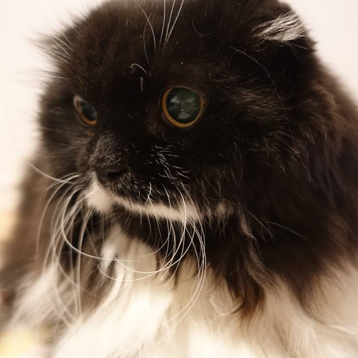 8f312b26 9442 4ce6 893b ddccd8b057a0 1557645593886