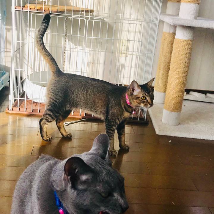 8f313439 0eee 4ee9 947d e4c9856c4176 1549498643912