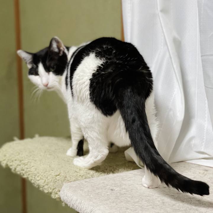 8f3149d4 6d26 4f17 a154 875f8fa1308a 1620612757351